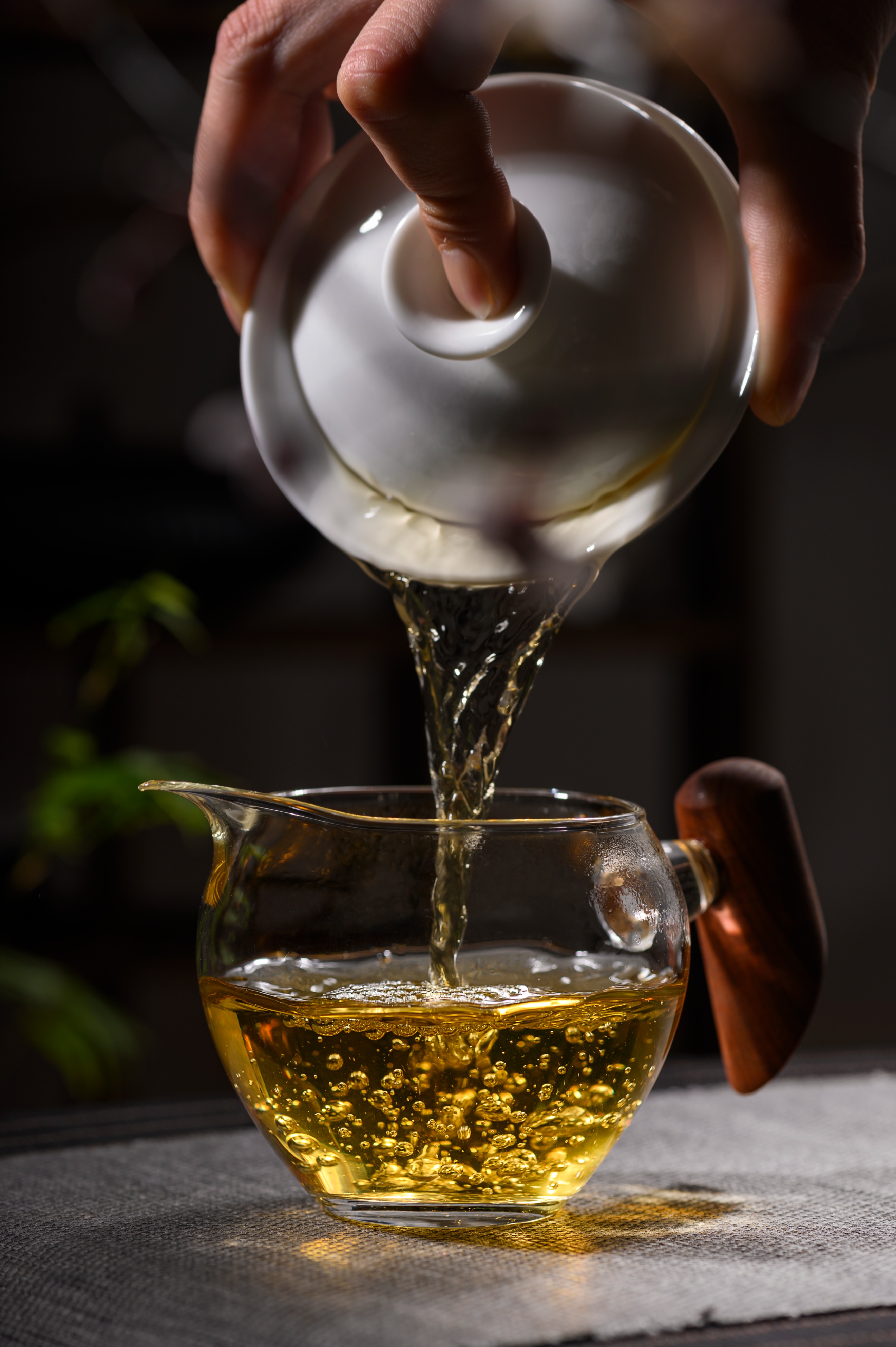 老茶人普洱茶发酵方法,老茶人视频教学