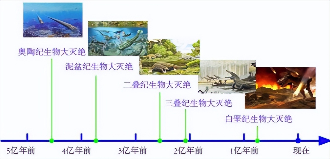 北极新发现甲烷了吗,北极甲烷大爆发是哪一年