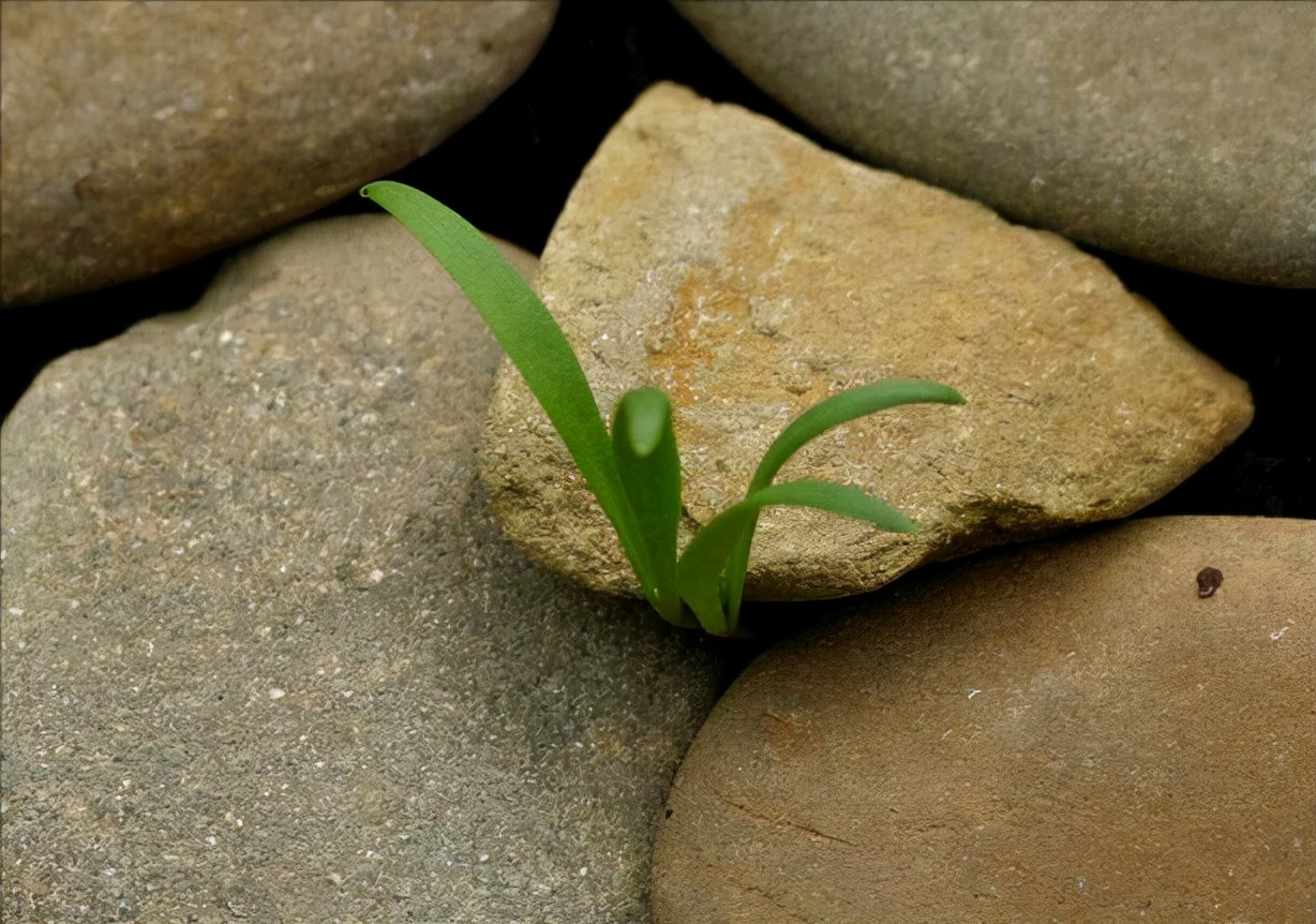 负债500万该怎么翻身,负债500万如何走出困境