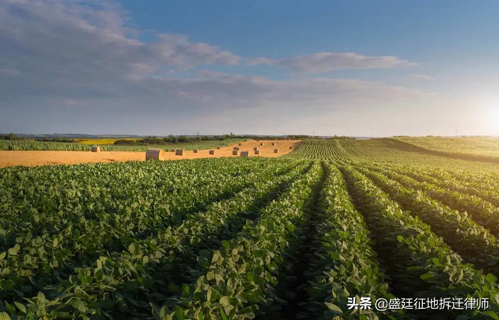 土地被强制流转怎么办,强制农村土地流转找谁