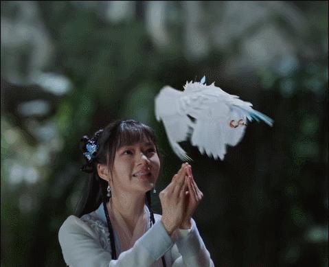 肖战古装仙侠剧待播,肖战仙侠女主