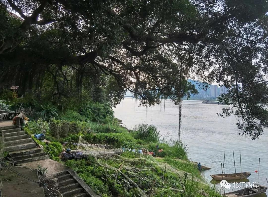 漫长回家路小说,漫长回家路摇滚完整版