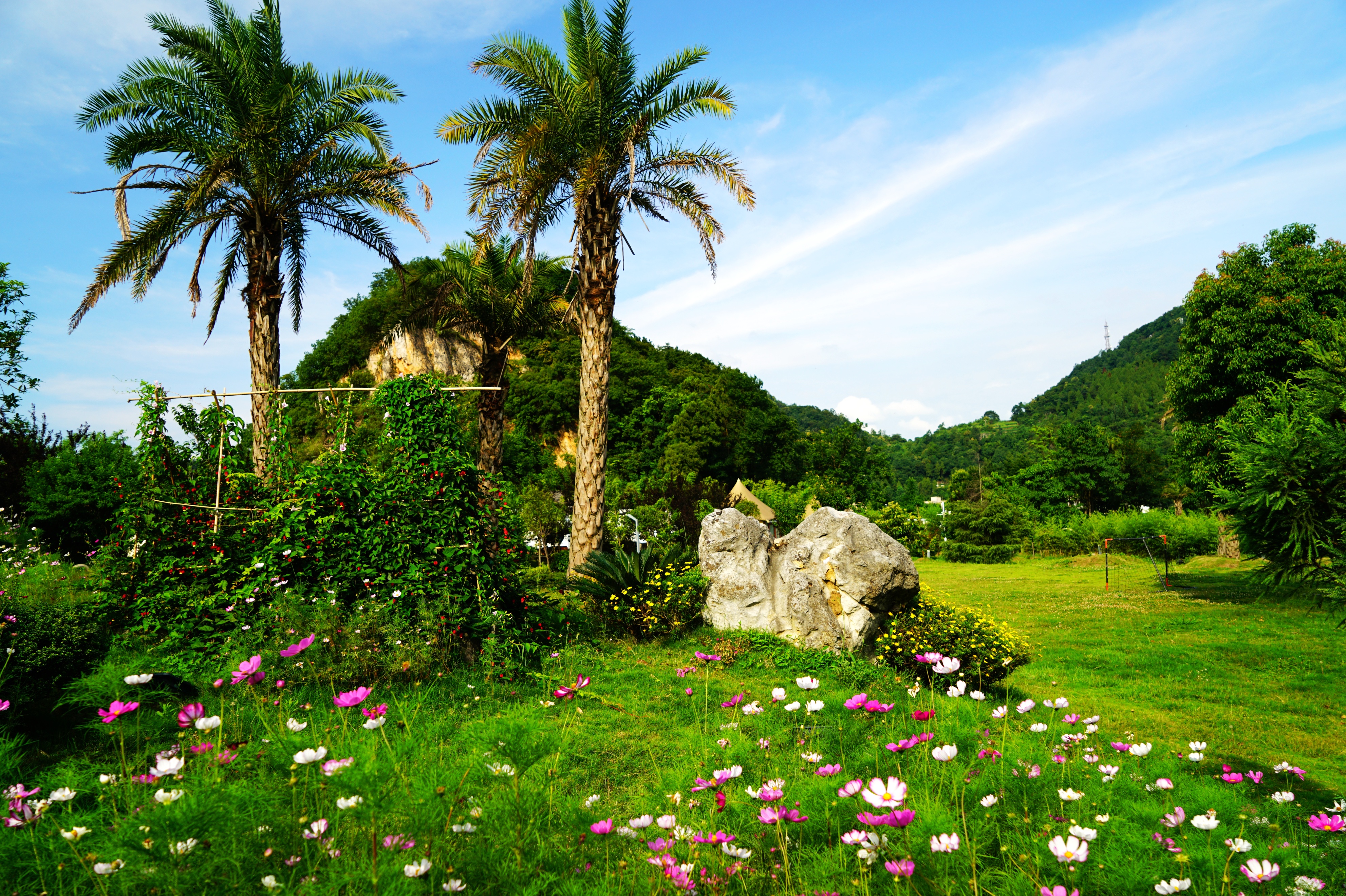 安顺优途丝路天龙屯堡露营基地,优途丝路安顺天龙屯堡房车露营地