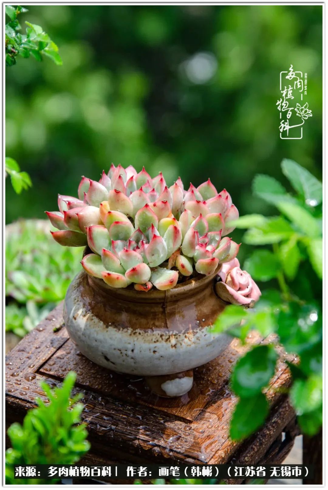 每个人的身旁都要有太阳,每个人都有一颗太阳