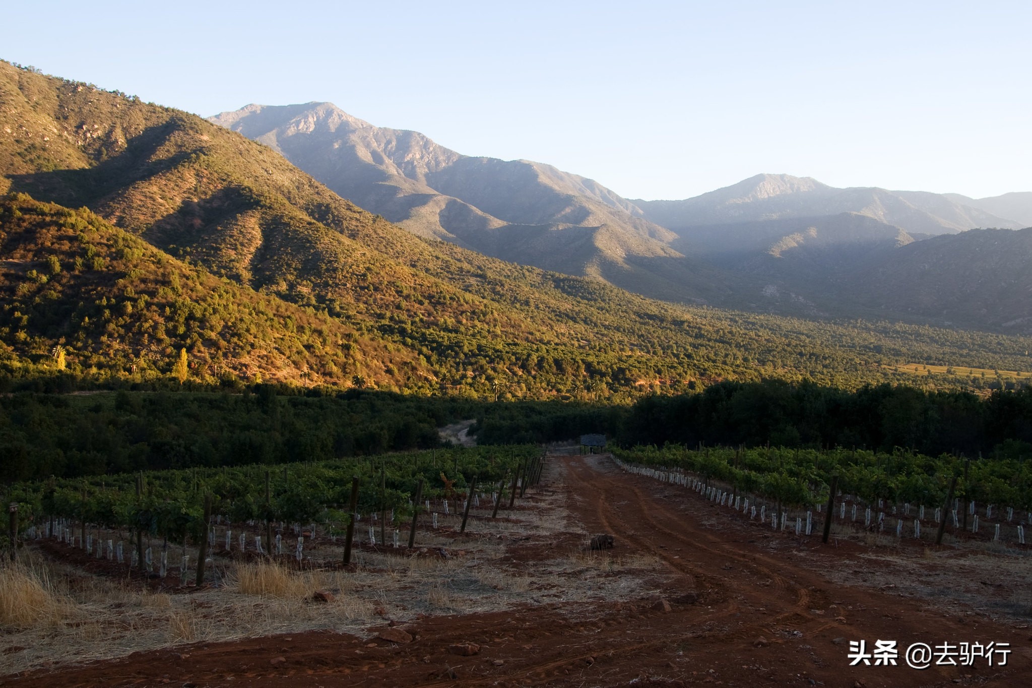 南美这个老朋友,环境宜居,水果红酒便宜,吸引许多欧美游客定居