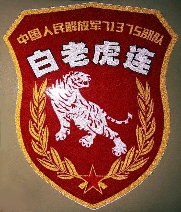 中国所有军队军衔标志,中国军衔标识图解