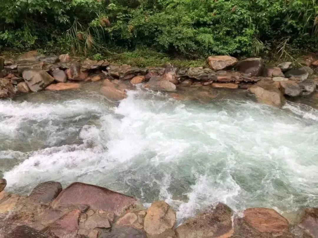 【上饶天下SHOW之广信区】中华蜜蜂谷:藏在五府山竹海密林中的蜜蜂“乐园”