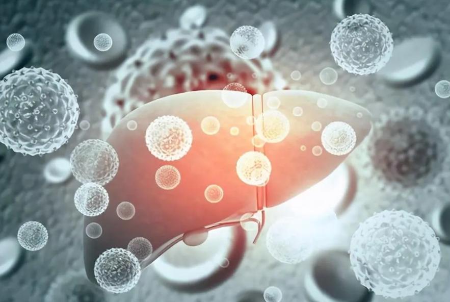 中医学的五脏学说肺,在中医五行中哪种原则是入肺的