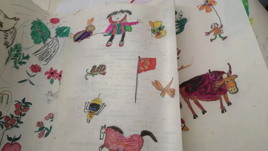 致三十周岁的宝贝儿子李淑华（江苏）《浪子情怀》诗歌集