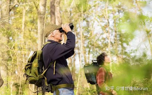 养老地产发展现状及未来趋势,中国养老产业十大预判