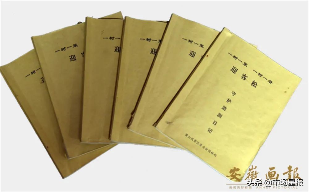 黄山迎客松守松人胡晓春,胡晓春黄山迎客松的守护者