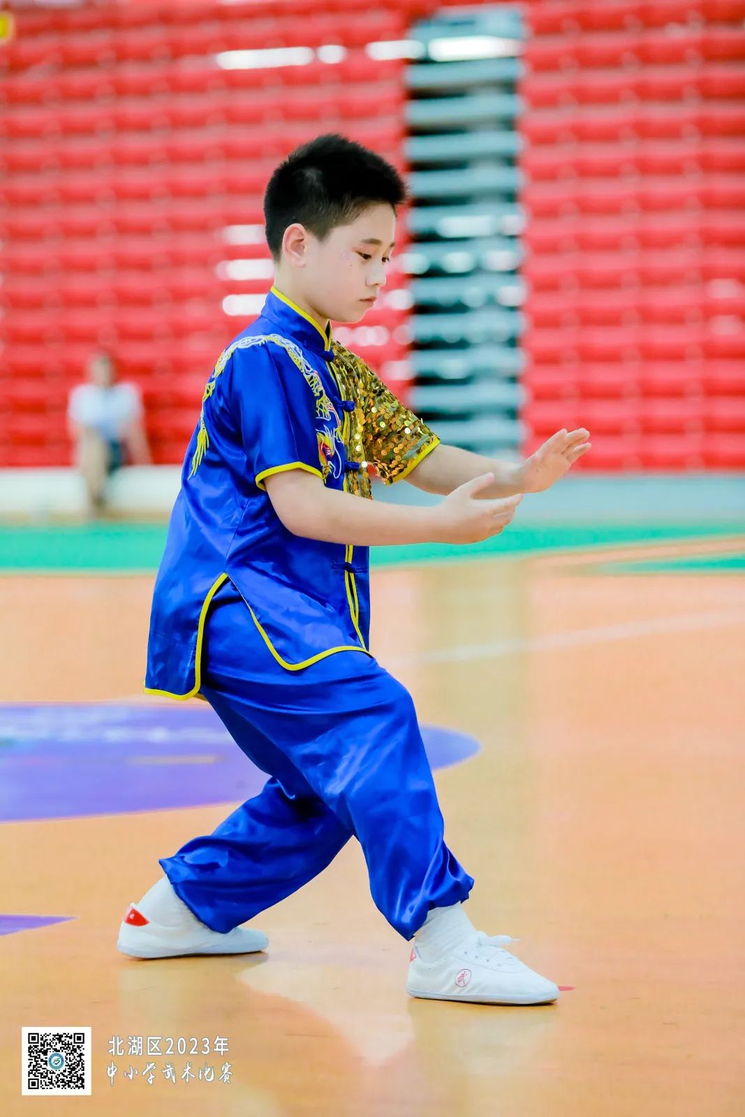 南燕小学,郴州市南燕小学成绩排名