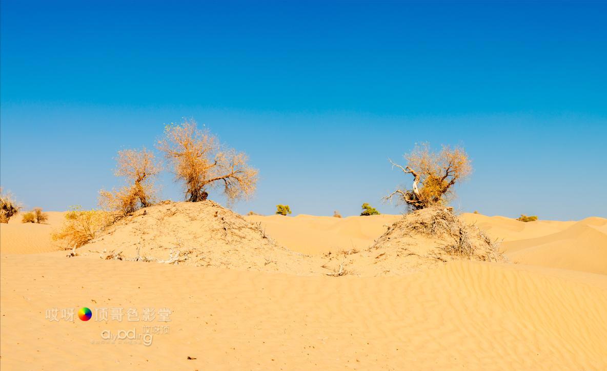 女司机带娃去新疆自驾游,带着女司机自驾游兰州