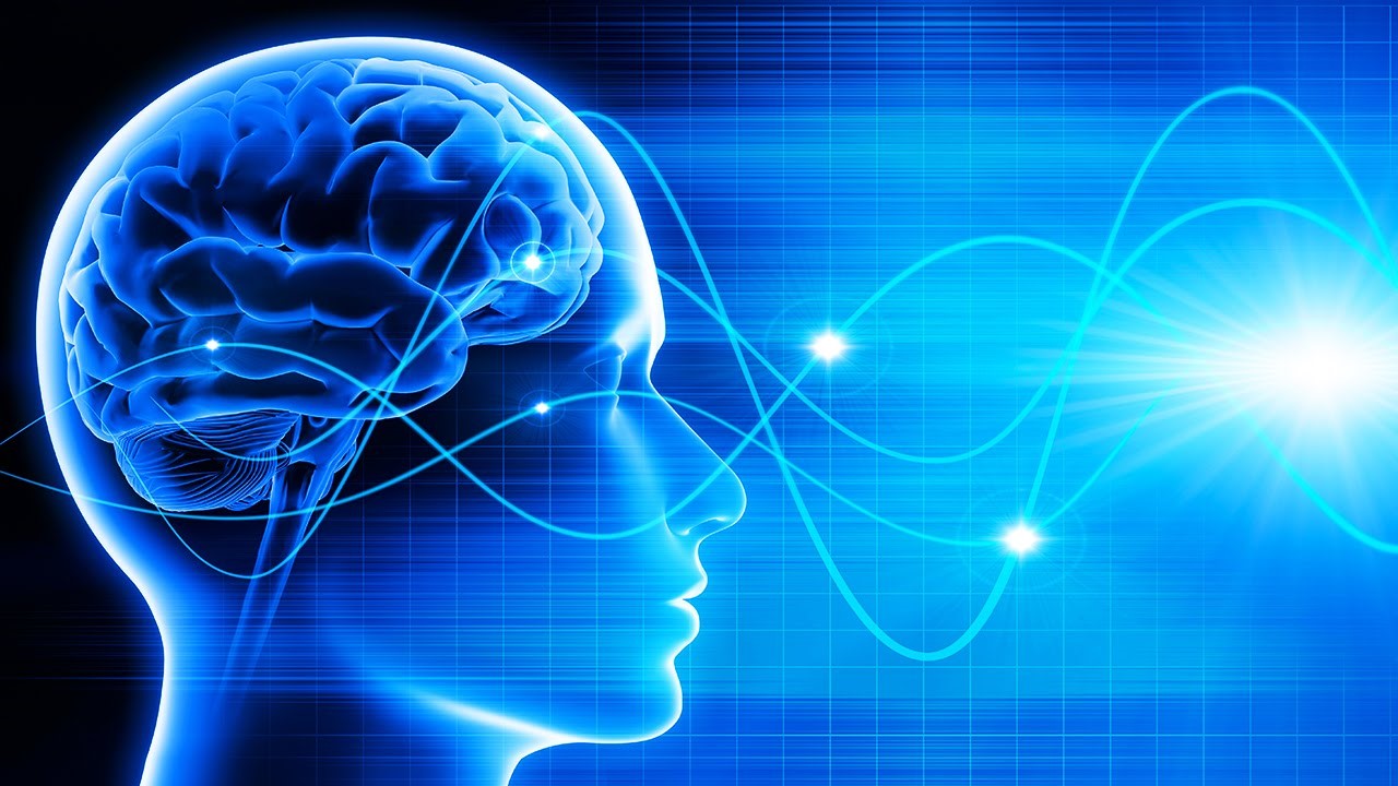 运动员的心理素质有哪些特点,体育运动员心理素质有多强