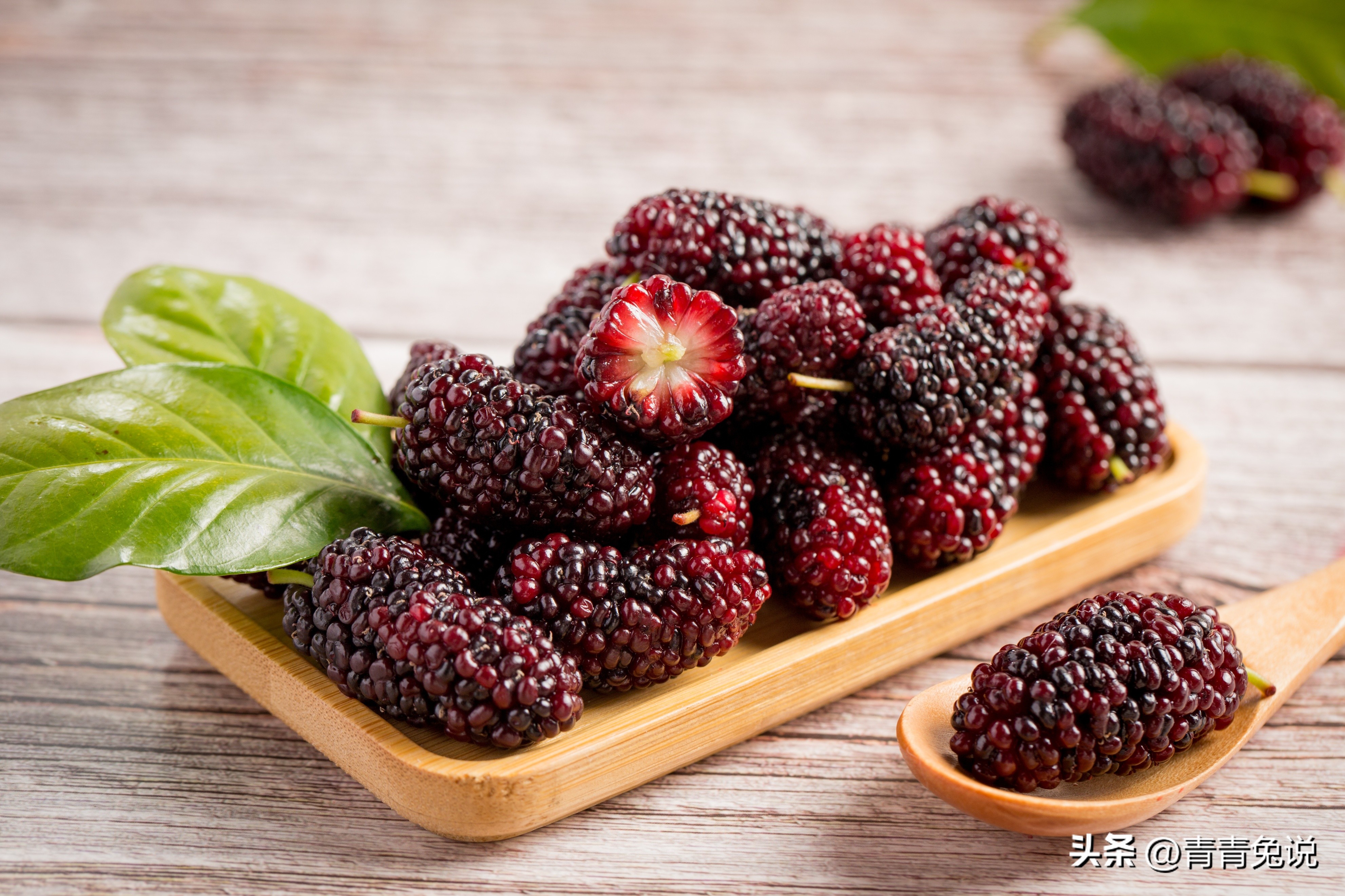 春季多吃这5种菜帮助孩子长得高,孩子常吃这几种水果营养健康成长