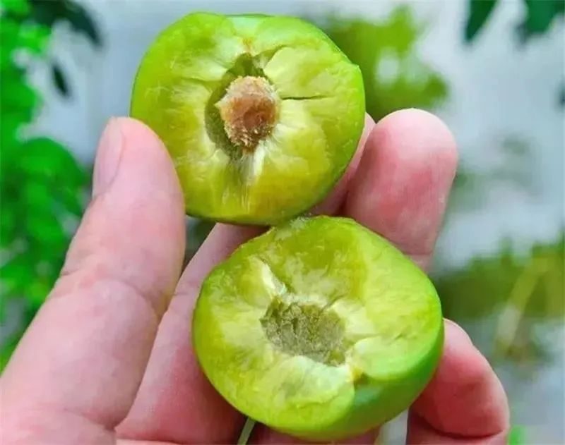 汶川旅游景点十大排行榜,四川旅游推荐汶川