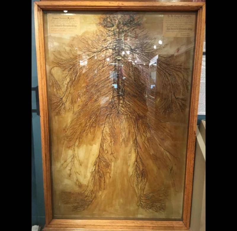 白色的心脏,火山灰覆盖的房屋,猫头鹰的大长腿,总有一张能震撼您