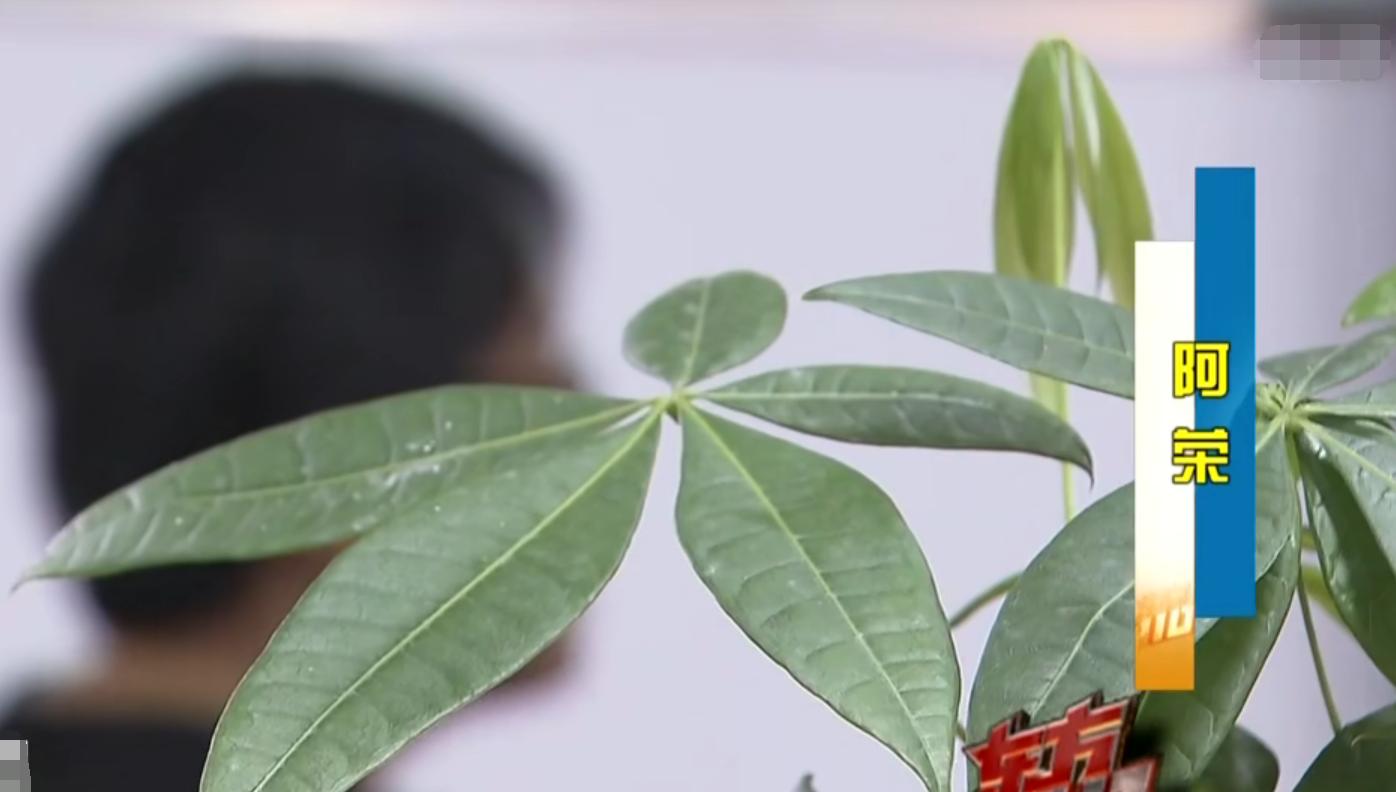 拆二代痴迷买房全集,拆二代赌博败了三四千万