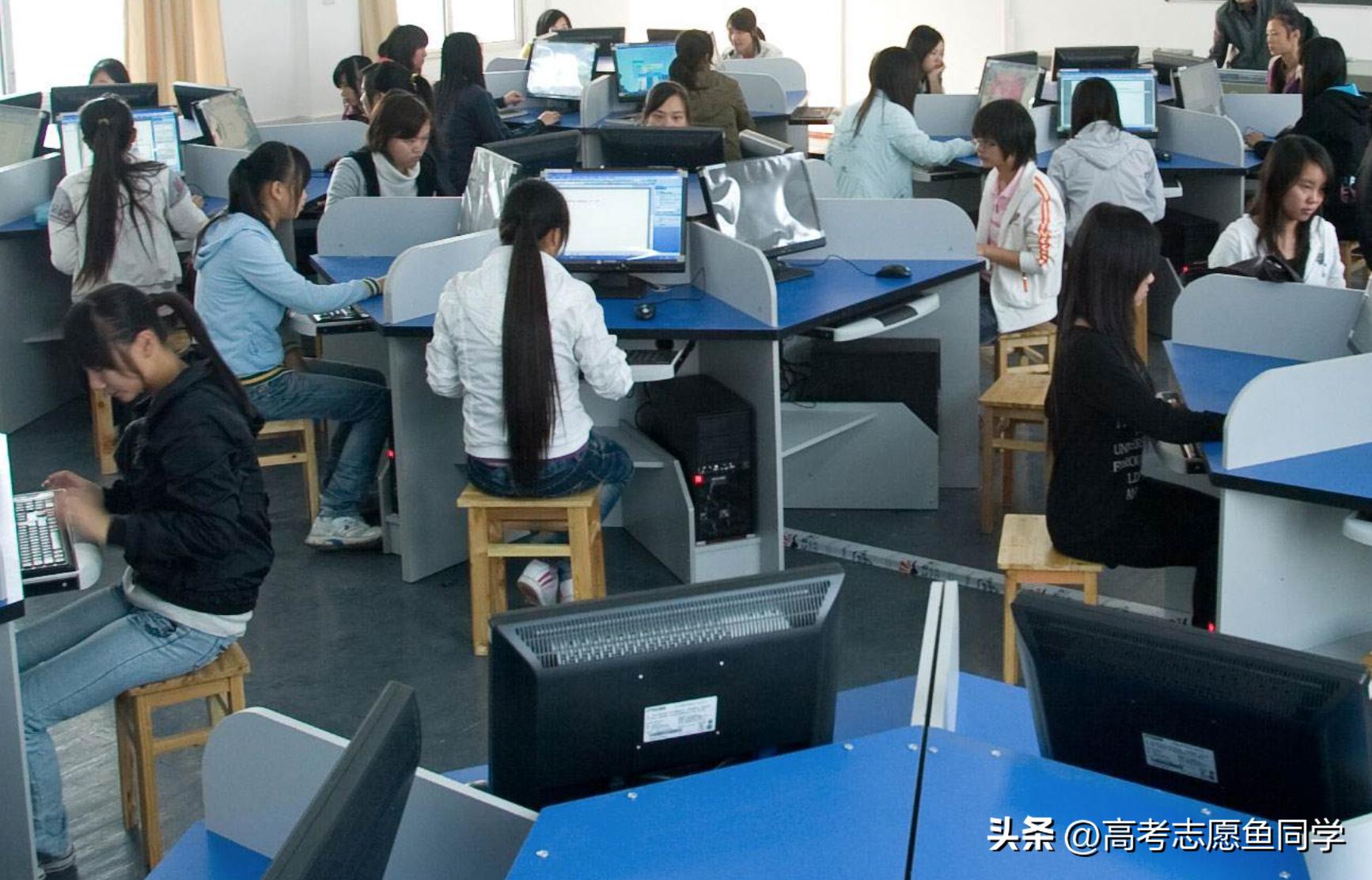 女孩专科就业率高的5个好专业,专科专业就业率排行榜