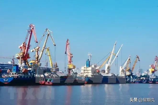 174期～为公司领导准备春节礼物，船东代表感动到落泪