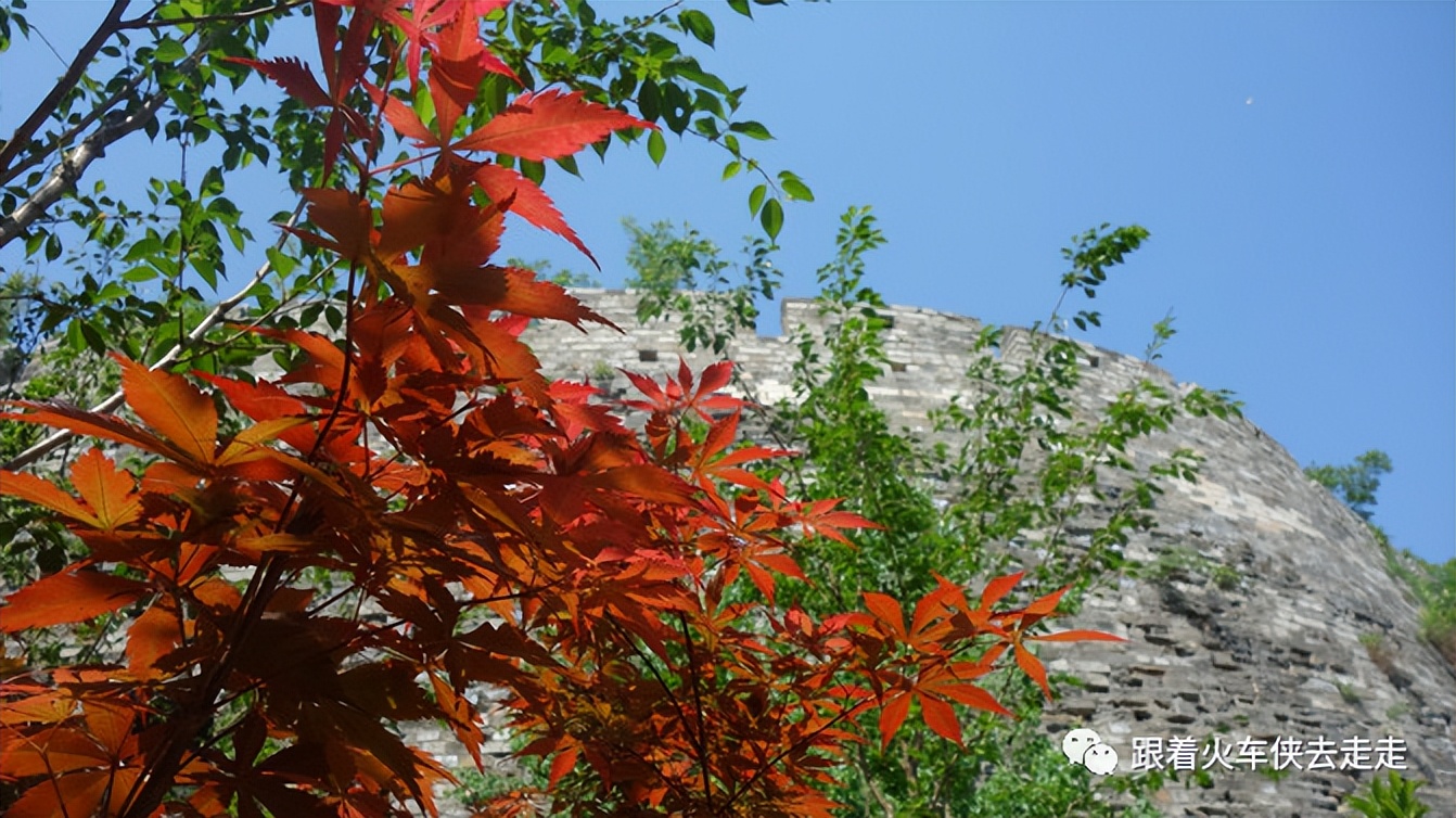 南京城墙下的琵琶湖,南京旅游先看城墙还是先看玄武湖
