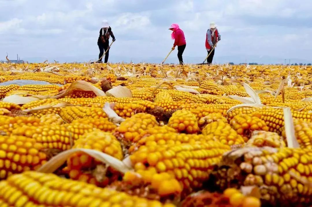 大西北旅游古老的文化底蕴,古老的信天游