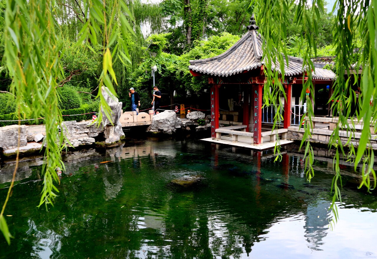 老济南眼中的人间烟火,人间烟火偶遇梅婷