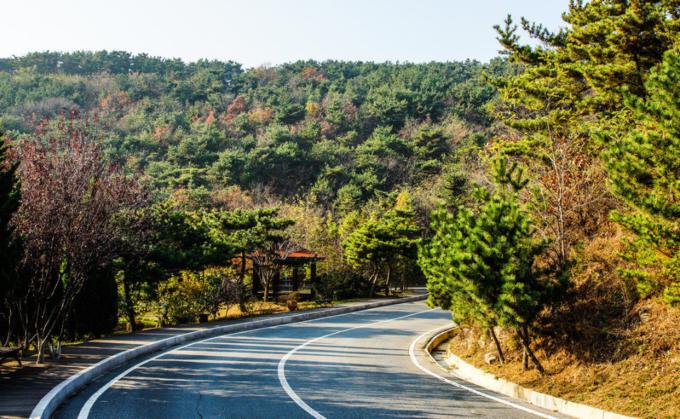 大连旅游赶海景点推荐,大连必去旅游攻略