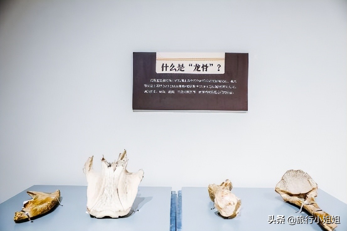 夏日海边微醺氛围感,滨城风光秀丽浪漫气息爆表