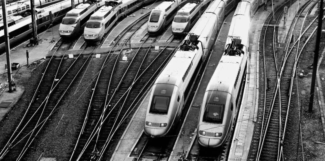 火花思维高磊,励志青年高磊