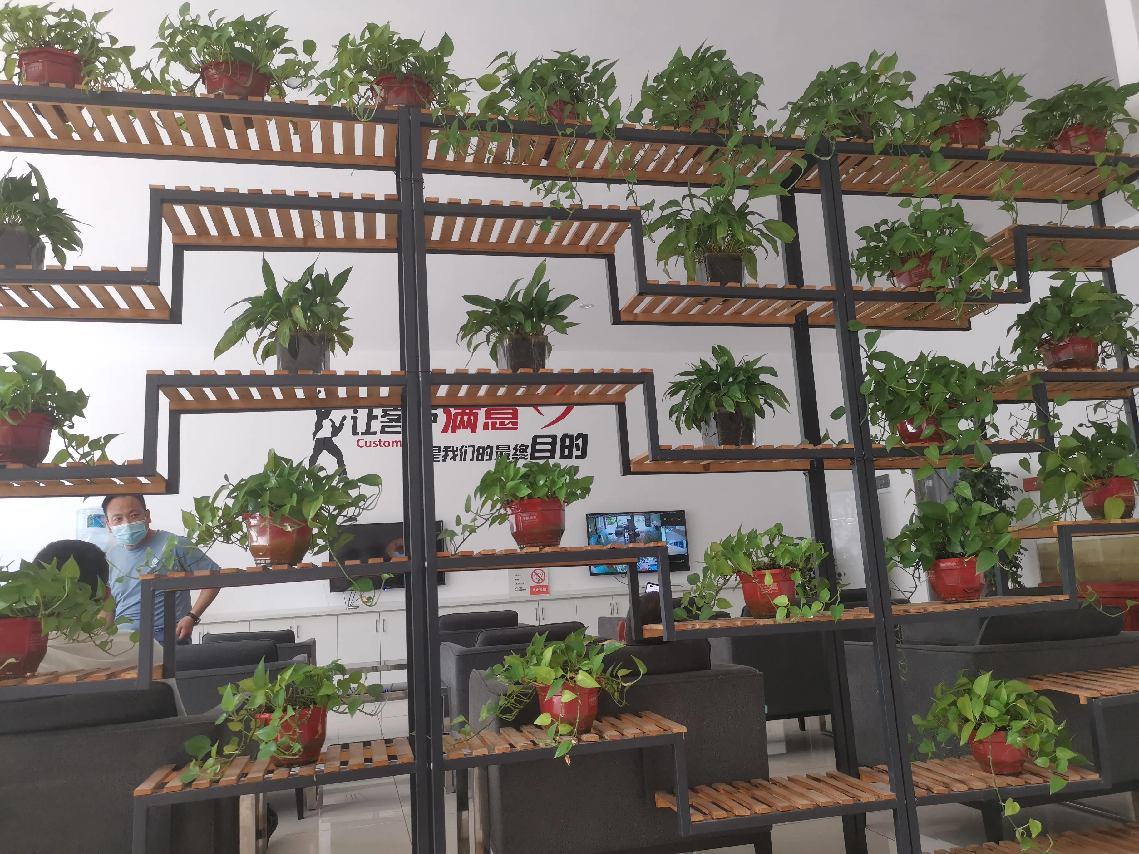 自己排队年检审车需要多少钱,年检审车收费标准多少钱