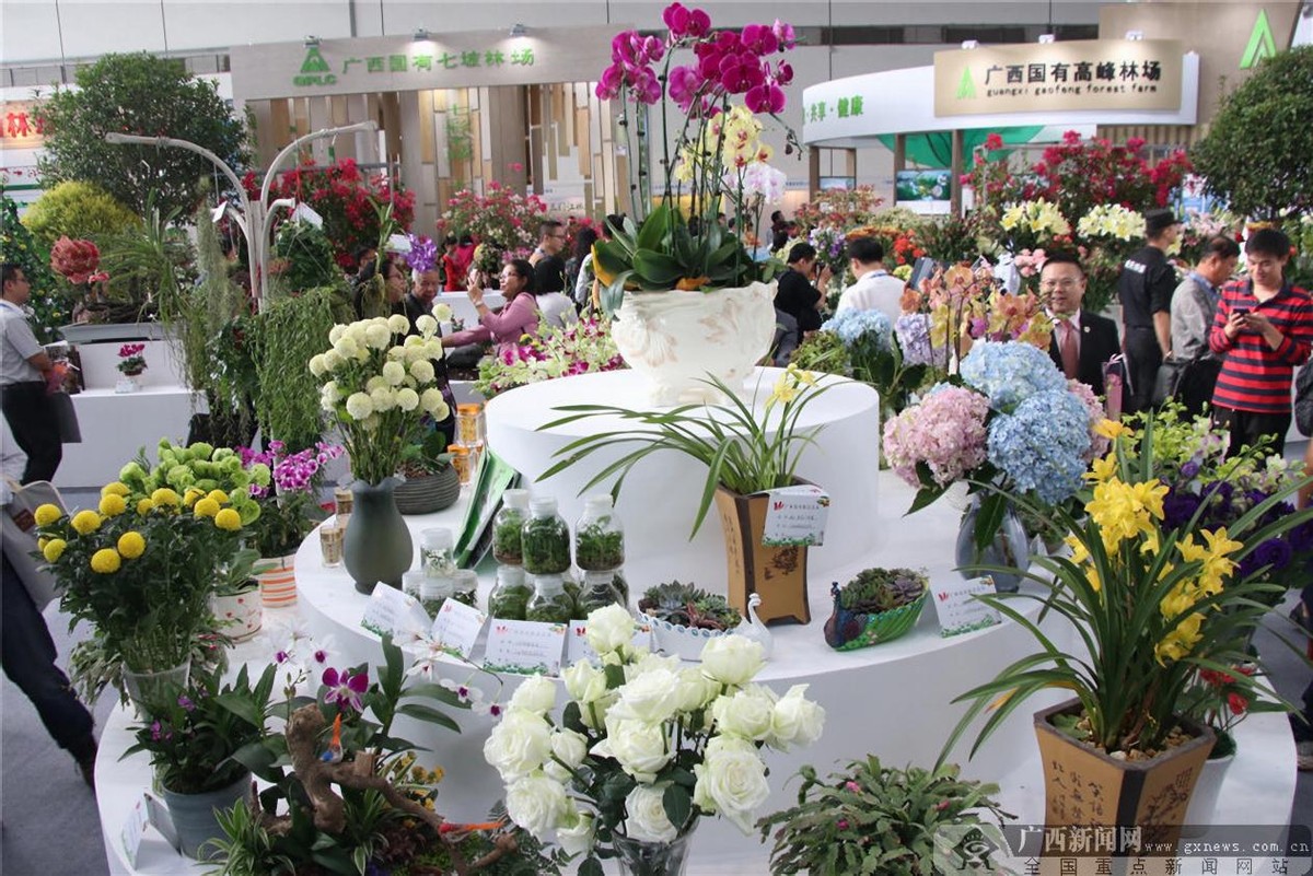广西花卉苗木交易会,广西花卉基地招商
