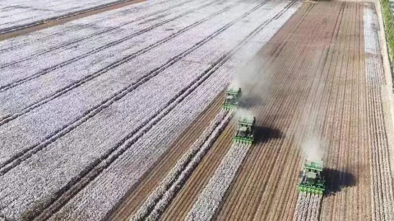 一季度华孚等49家大厂现金流榜单，发现纺织业穿越周期的底层逻辑