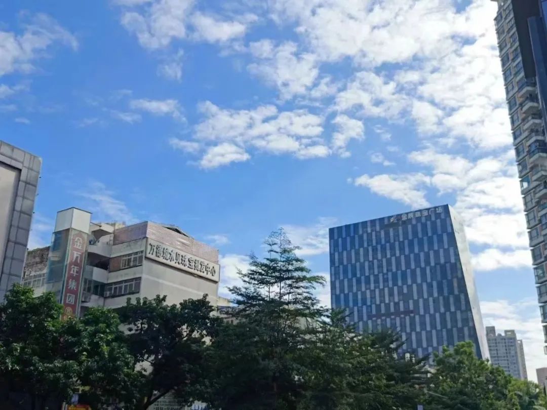 深圳金融街电讯杜猛,金融街电讯杜猛完整版