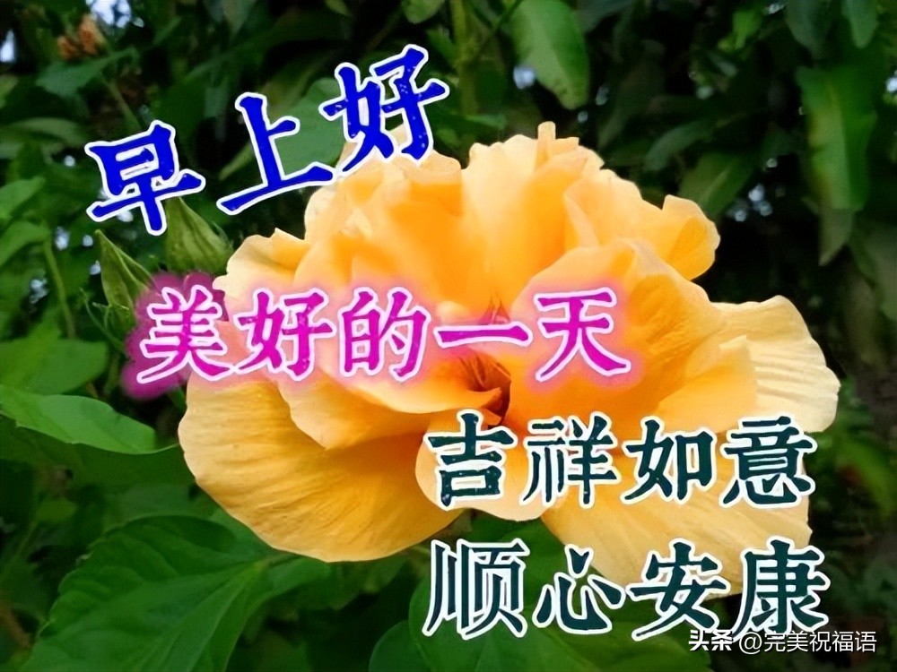 2022年早晨好表情大全,12月22号早上好表情图片大全