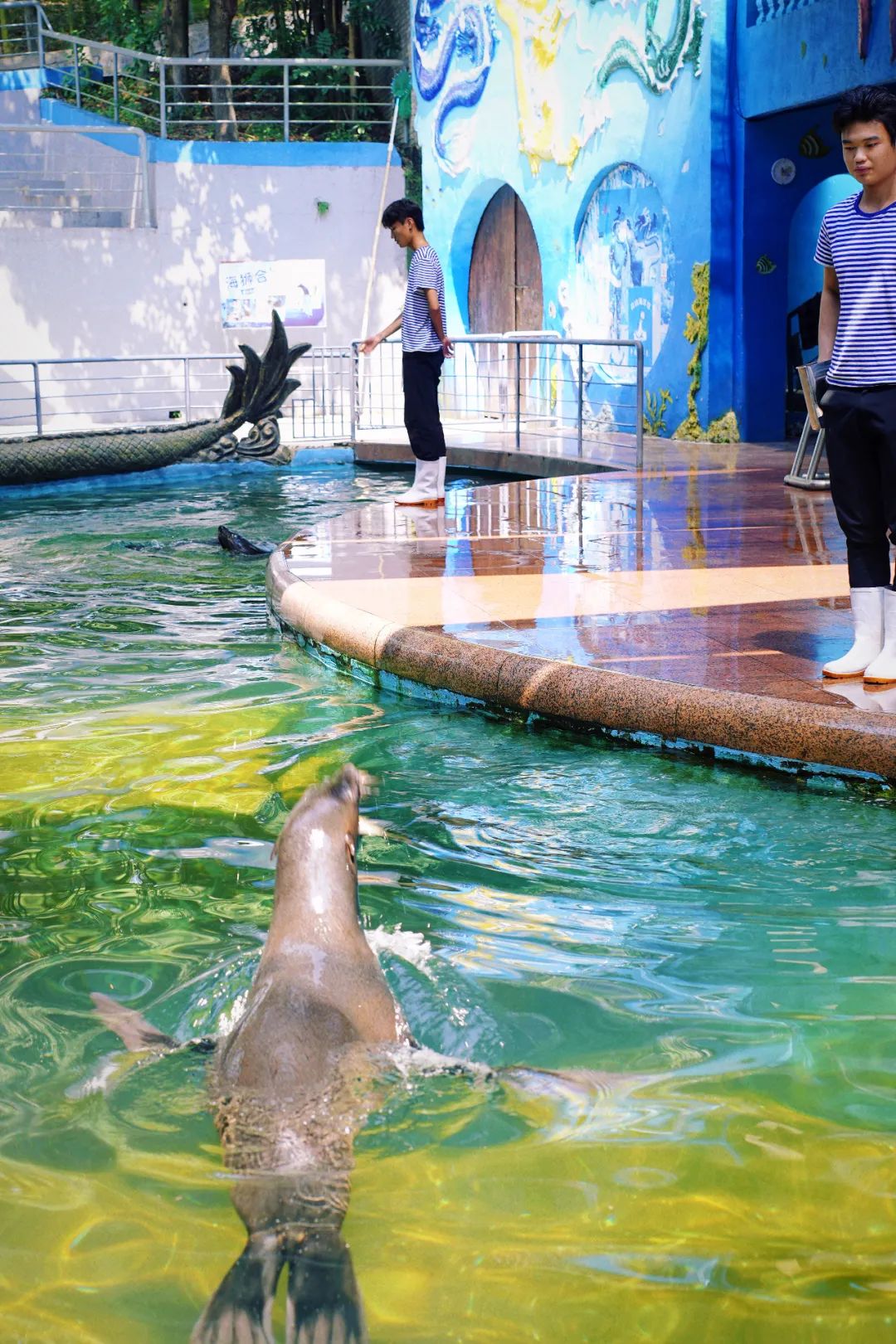 安吉亲子旅游必去的景点,安吉最新亲子旅游度假