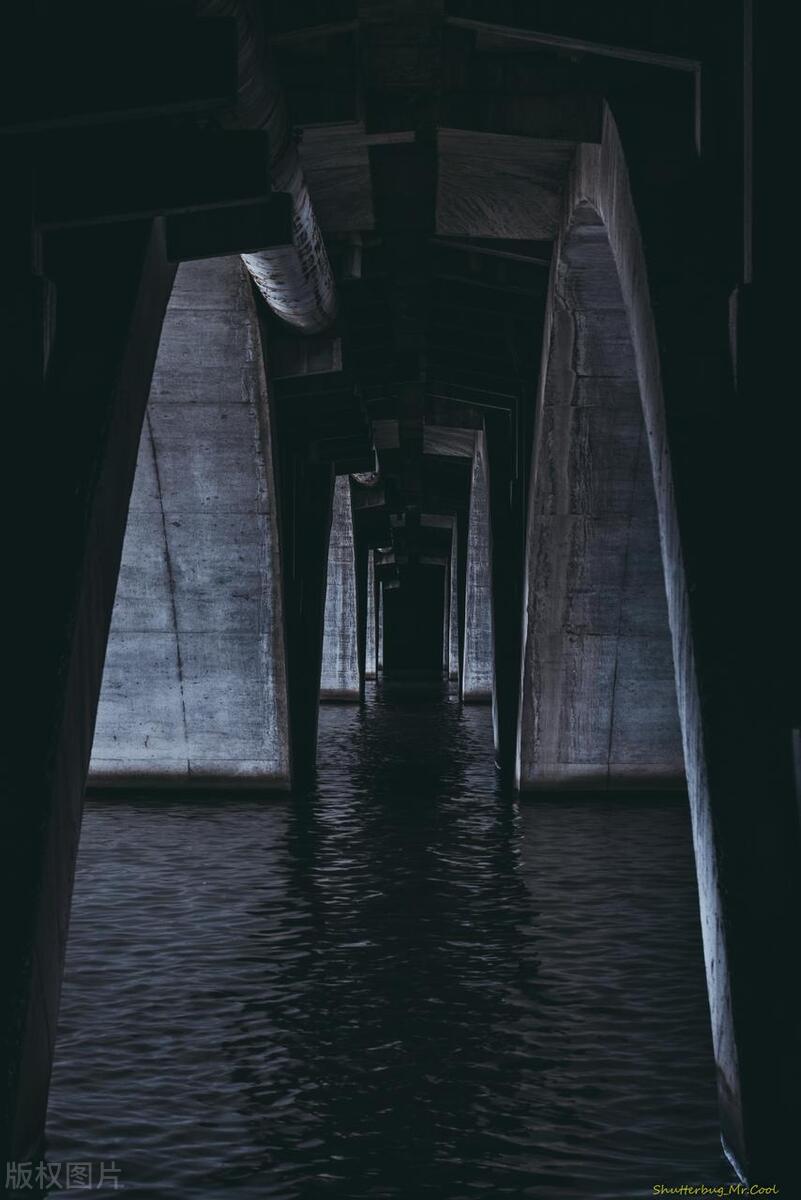 世界十大怪兽传说,世界上十大最恐怖的怪兽