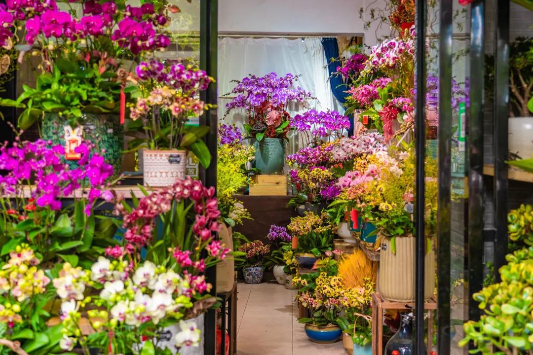 乐购深圳福田,乐购深圳在哪抢购东西