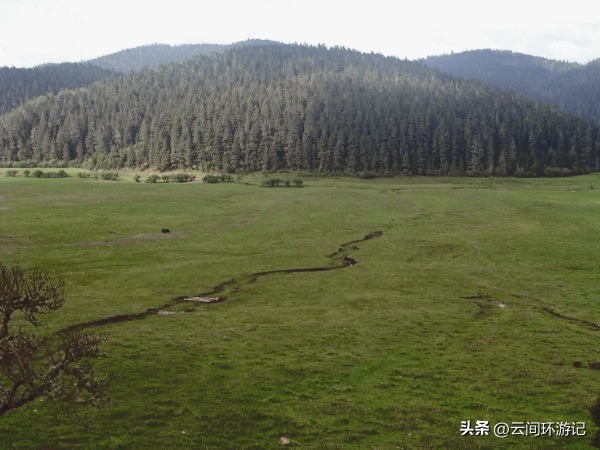 「一根风花雪月的鸡毛」（云南丨昆大丽香）