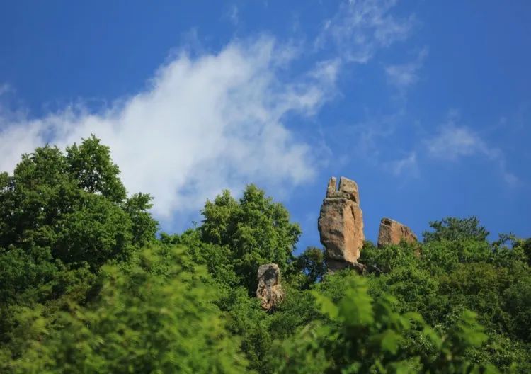 猴石森林公园攻略,猴石国家森林公园发展