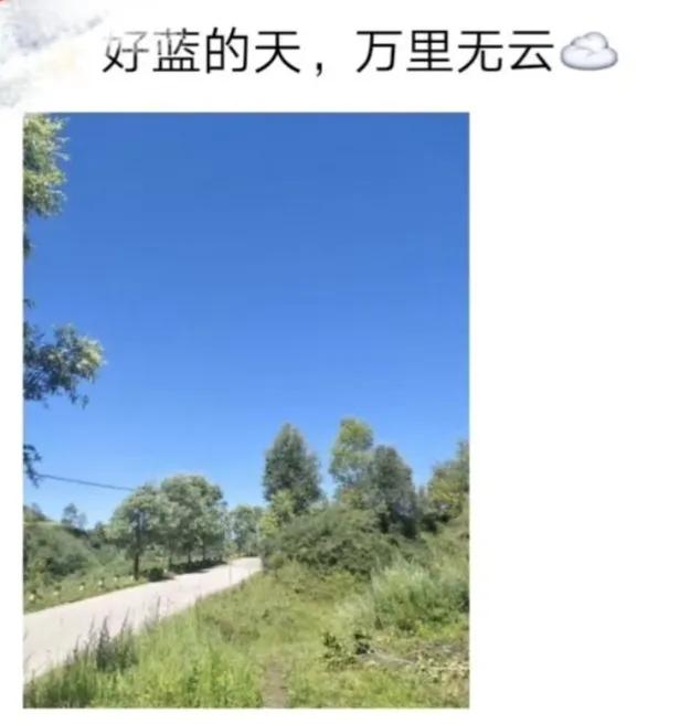 生活的小情趣有哪些,生活中的小情趣的短句