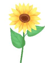 重庆玛雅水公园适合3岁孩子玩吗,重庆玛雅水公园门票