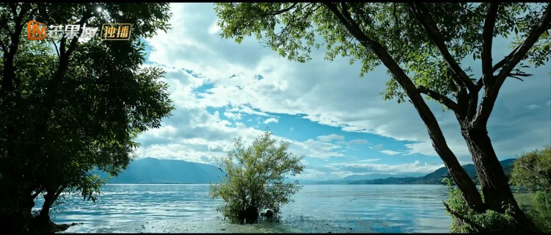 一起去有风的地方夏天,一起去有风有海的地方