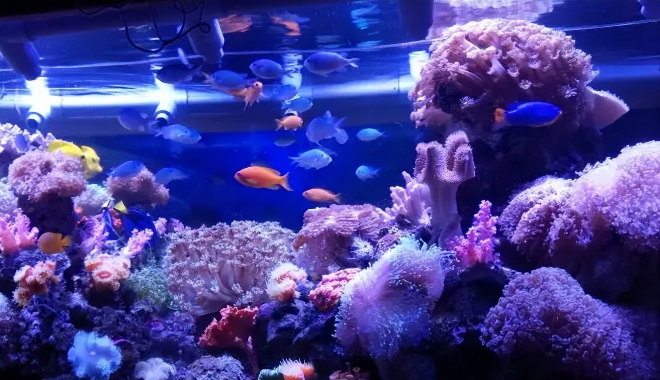 郑州周末遛娃踏青好去处,郑州春季带孩子游玩好去处推荐