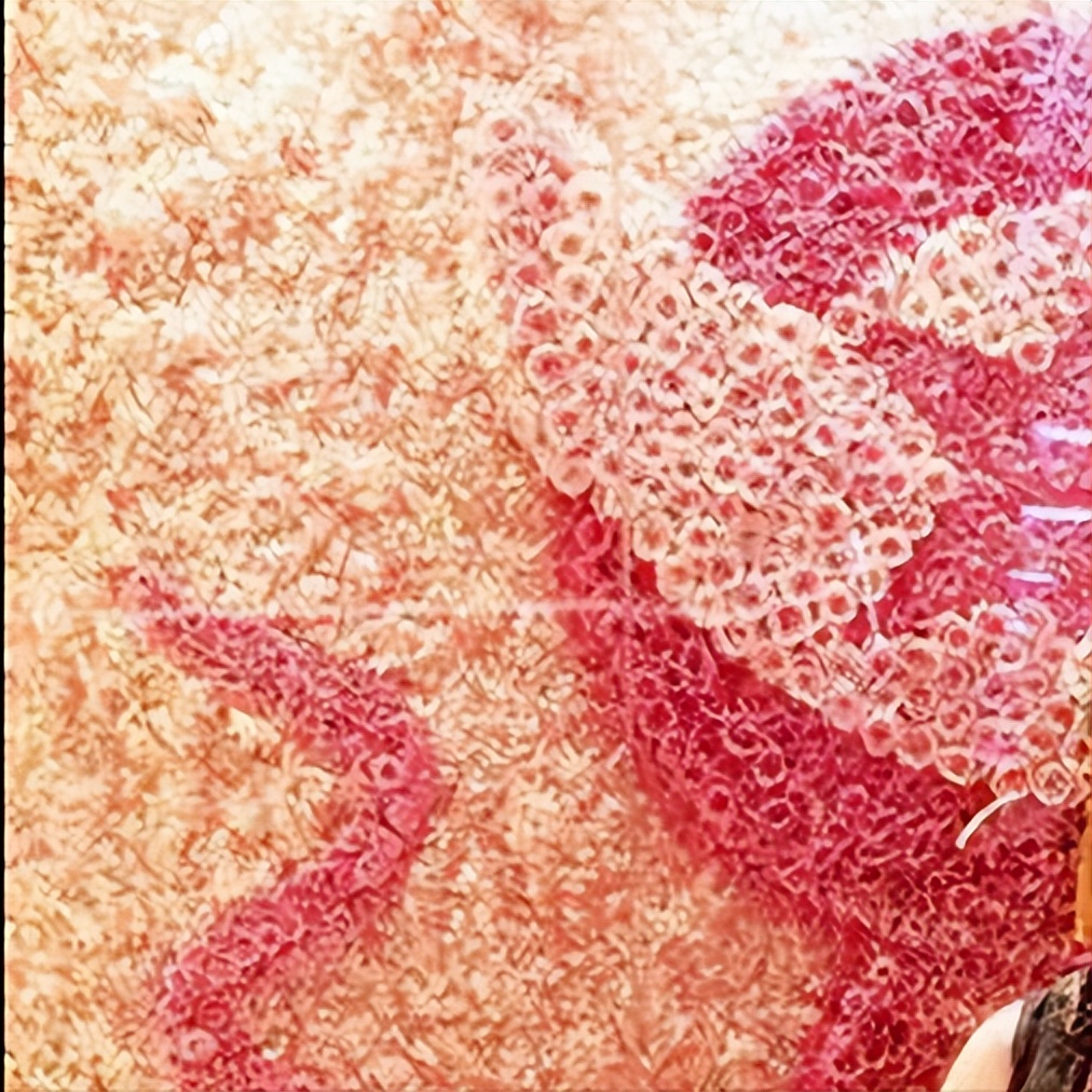 季季红火锅在火锅行业的情况,季季红火锅中国火锅排第几