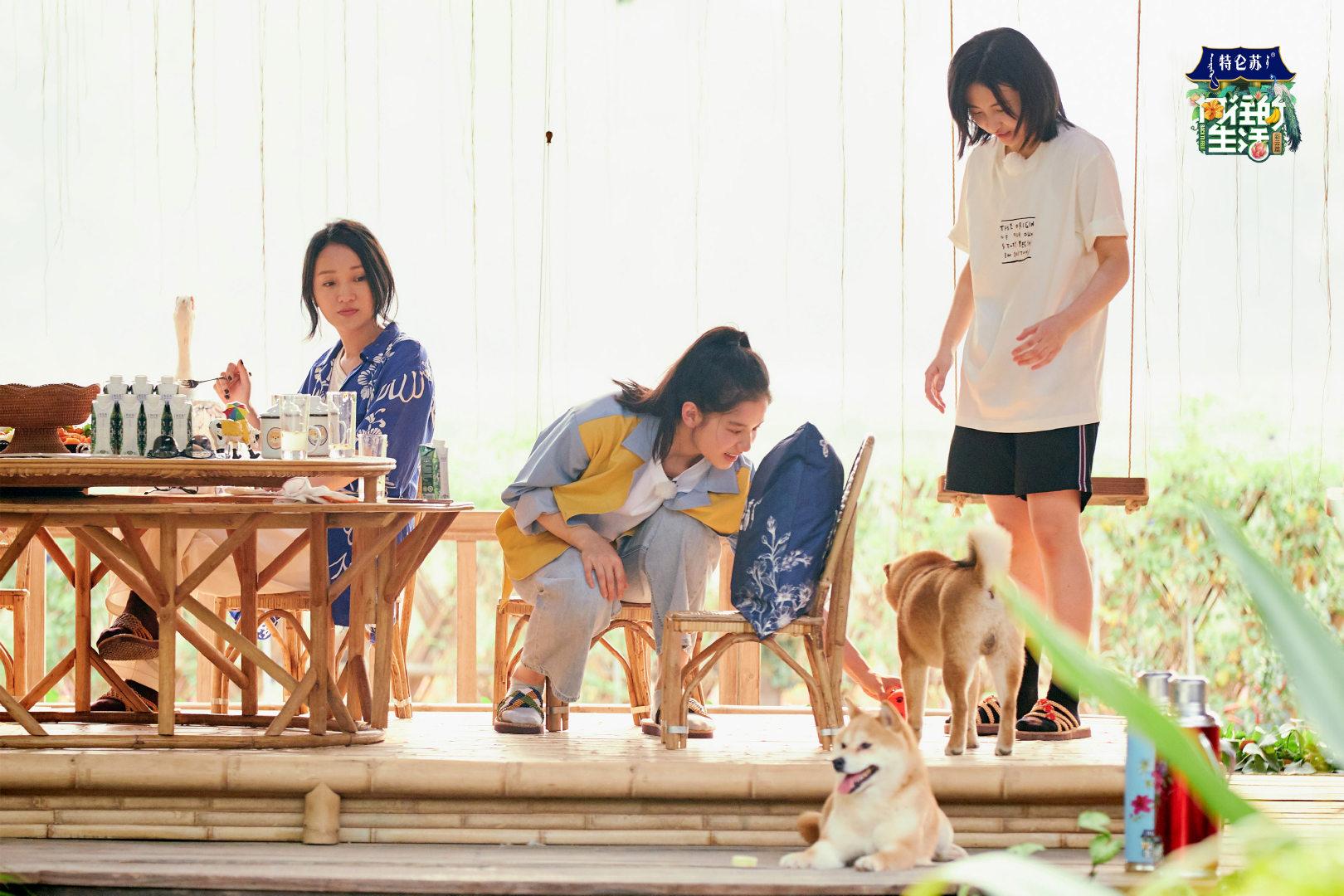 为什么很多人客厅做地台,地台设计真是美翻天