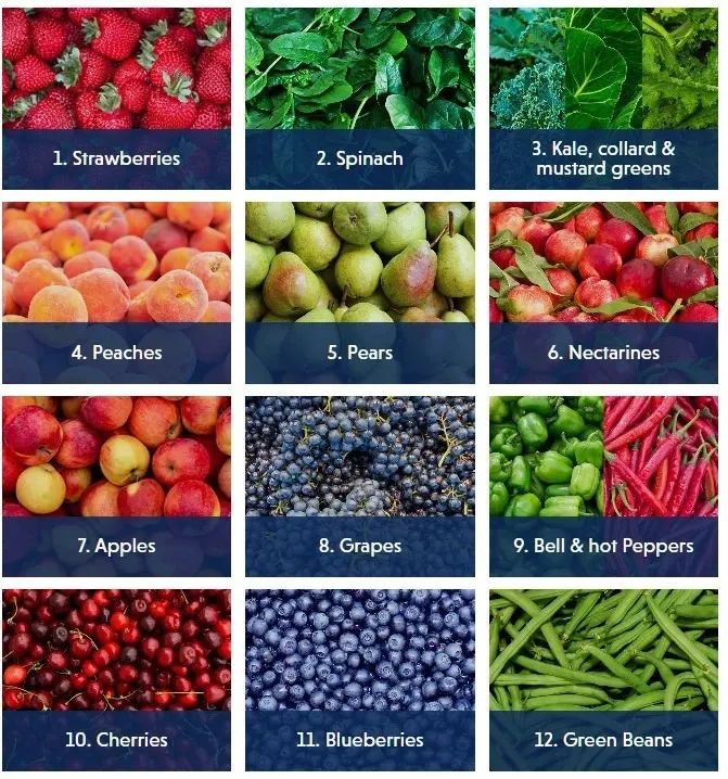 蓝莓可增强视力消除眼睛疲劳,吃蓝莓和吃胡萝卜哪个对视力更好