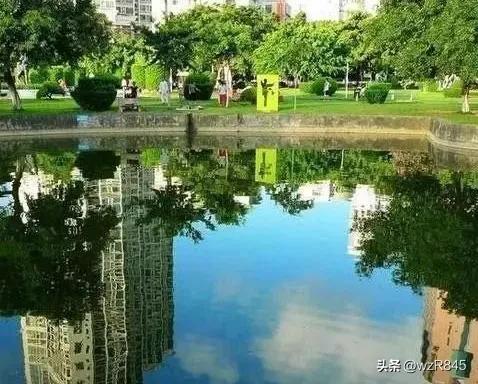 深圳宝安公园一日游攻略,深圳旅行日记十三集