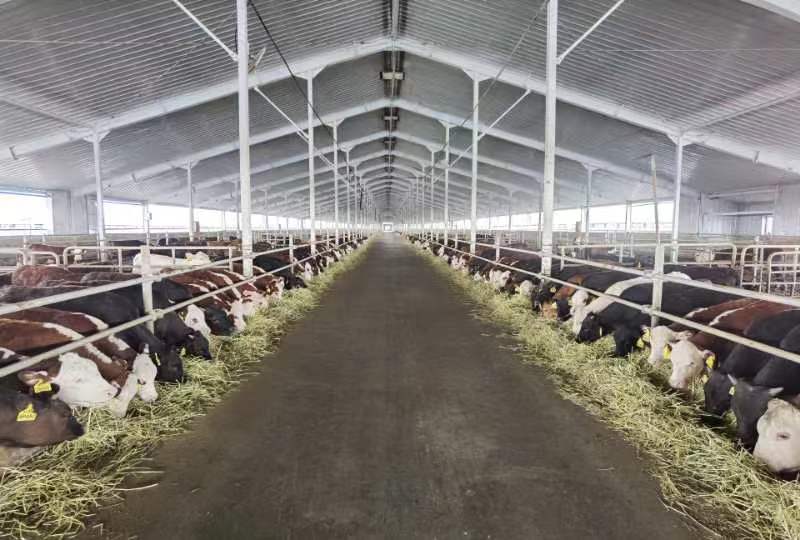 乡村振兴看安化,白城市平台镇乡村振兴