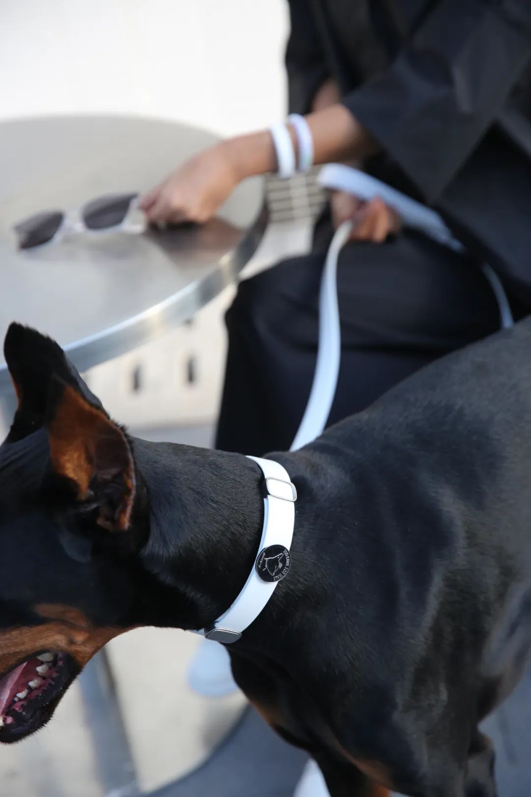 为宠物而设计,极简宠物产品